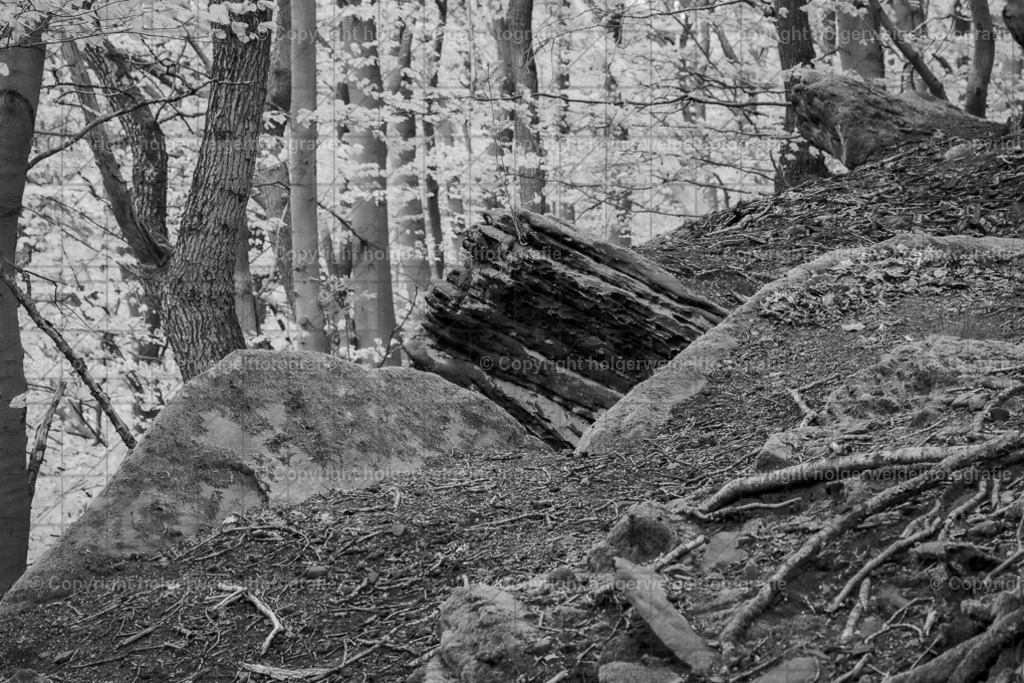 Felsig | Kaufen sie online außergewöhnliche Fotografien auf Leinwand Acrylglas Fotoprint Aludibond von holgerweigeltfotografie - Realisiert mit Pictrs.com