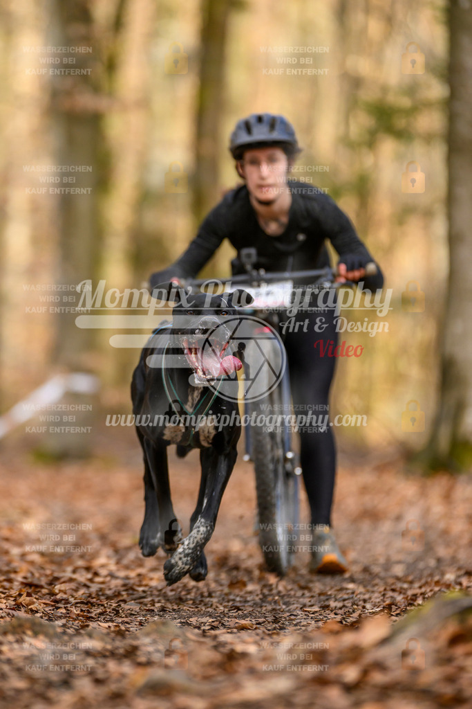 MompixPhotography_Habay2025_SA_SCO-36 | PayLife