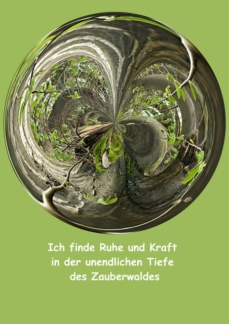 Baum-Circle transp mit Text | Outdoorpixl Teßen OHG - Realisiert mit Pictrs.com