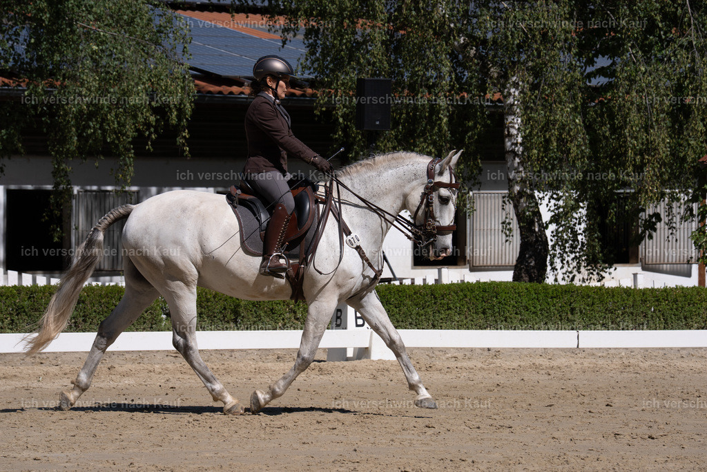 WL_DR_70_sinafilmart_IN07346 | working equitationturnier fotograf videograf stoibphotography marixx film working equitation deutschland reitsport turnierfotografie eventfotografie equestrian events