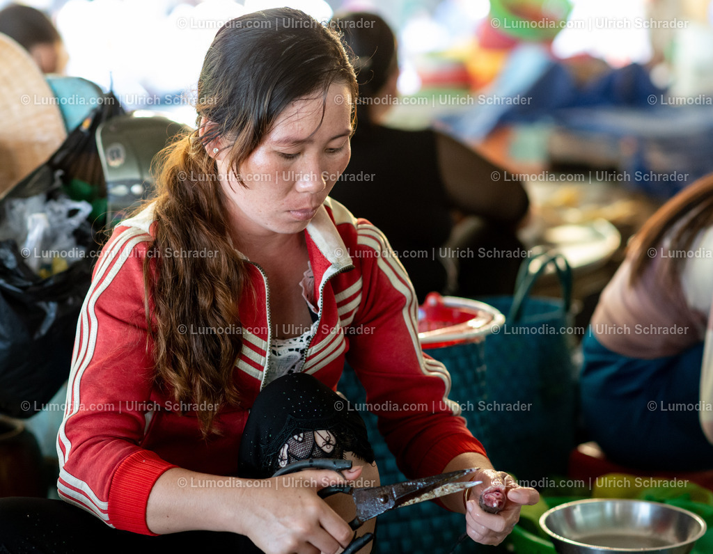 202510-145 | Stockfoto und Bilderpool mit Bildmaterial aus Deutschland, dem Harz, Halberstadt, Quedlinburg, Wernigerode und weltweit. Qualitativ hochwertige und professionelle Fotos anschauen und kaufen. - Realisiert mit Pictrs.com