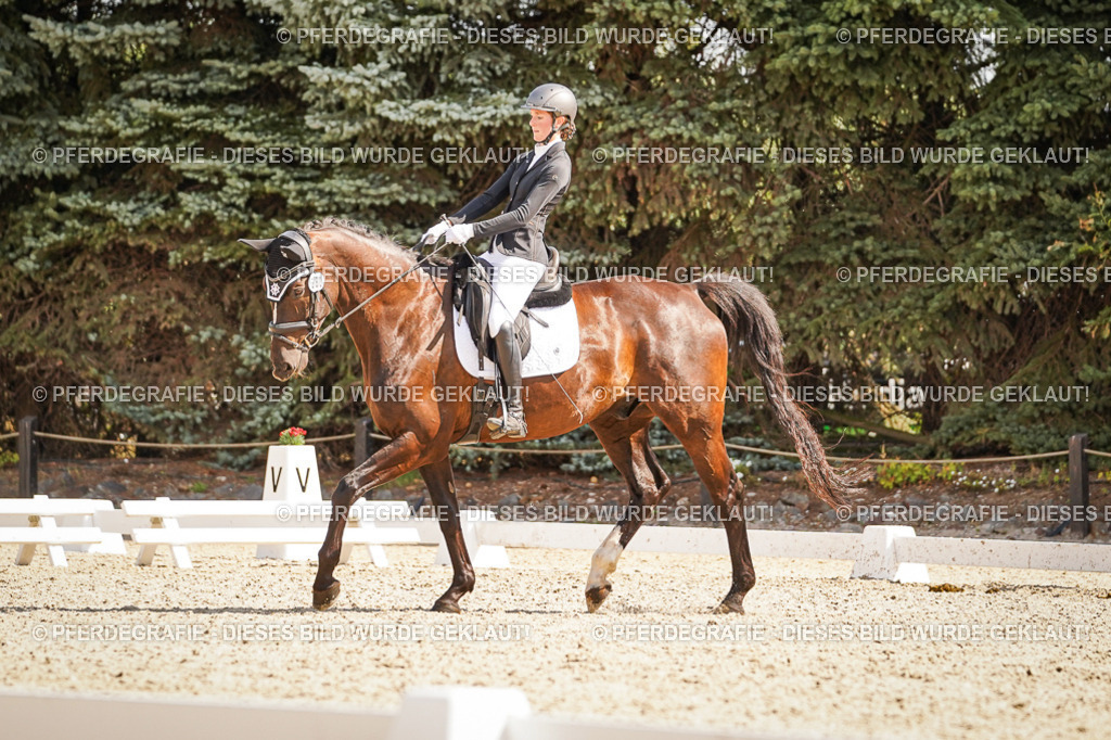 DSC00887 | Pferdegrafie