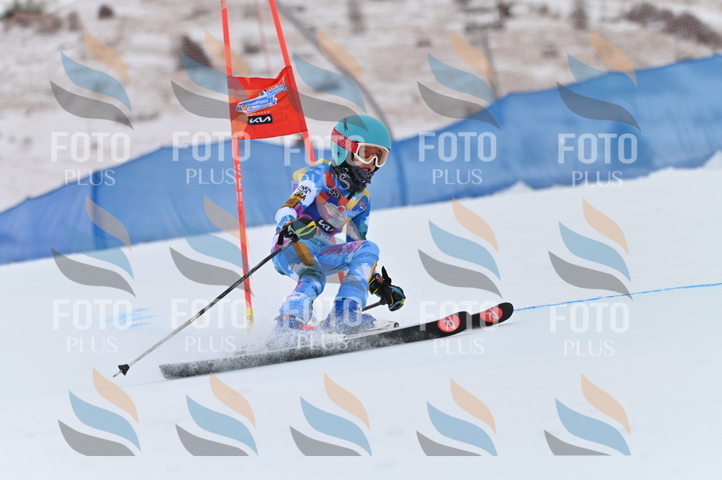 BGV_1045 | holidayphoto