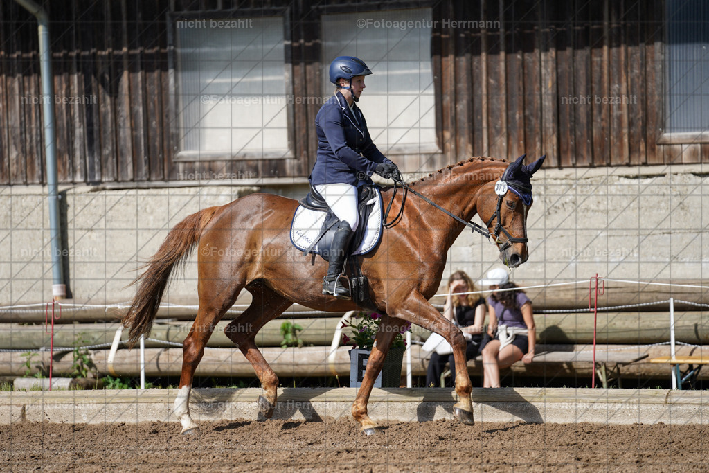 20240519-FAH04666 | Turnierbilder Niederseeon 2024, Vielseitigkeitsdressur, Reitsportbilder aus dem Landkreit Ebersberg, Gut Steinsee, RC Steinsee, Fotoagentur Herrmann