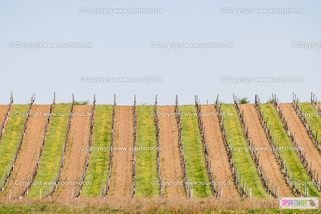 368A2422 | Neusiedlersee Radmarathon 2026@sportshot_your_pictrs #yourpictures#roadtowm2029 #nrm #neusiedlerseeradmarathon #neusiedlersee #neusiedlerseetourismus #burgenland #mörbisch #nrm26 #burgenlandtourismus #voglundco #poweredbyburgenlandtourismus #radsport #rad #marathon #ucigranfondo #visitburgenland #ucigranfondoworldseries