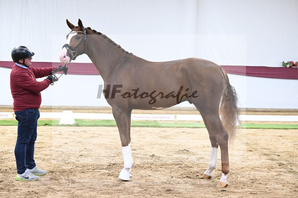 Kat-Nr. 54 Bonds x Zoom_Matthias Schlamminger GmbH_47252017 | hf-fotografie - Realisiert mit Pictrs.com