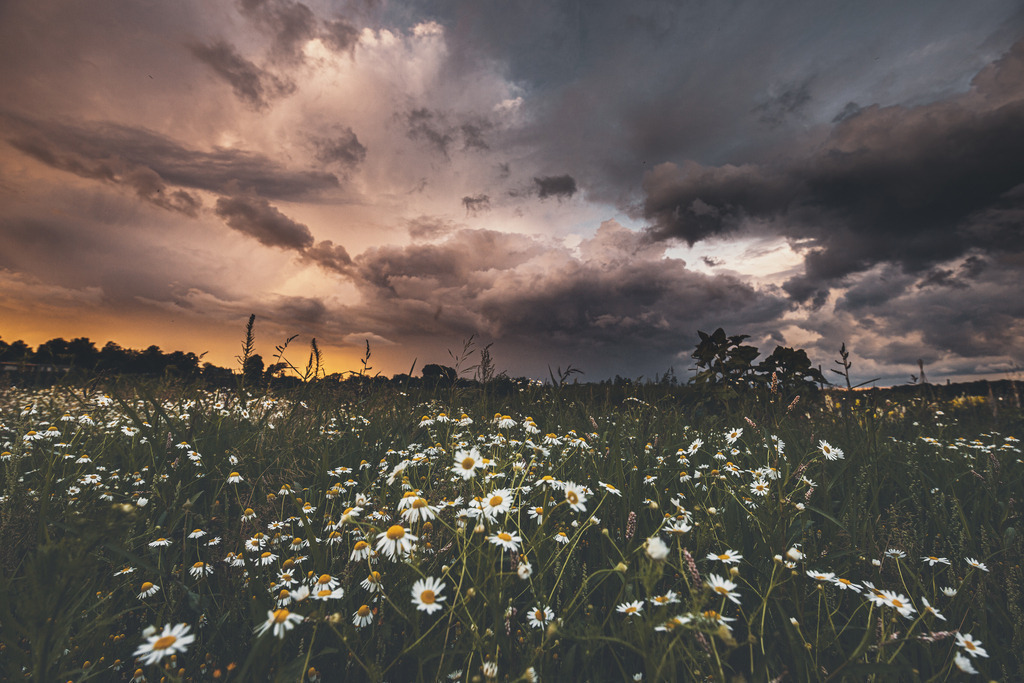 Abziehende Gewitterzelle | Hier jetzt die schönsten Landschaft,Wetter und Tier als Wandbilder und vieles mehr zum günstigen preis bestellen, Der Fotograf aus Heiligenhaus - Realisiert mit Pictrs.com