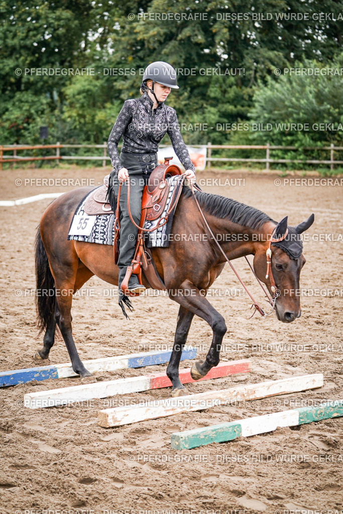 DSC03203 | Pferdegrafie