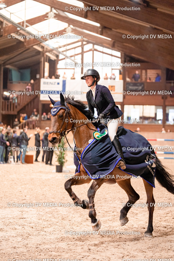 Springen Tag 3-546 | dv-media-shop - Realisiert mit Pictrs.com