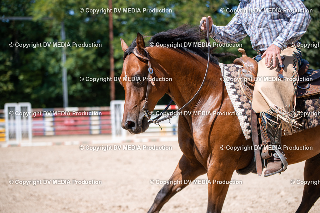 ZS1_1570 | dv-media-shop - Realisiert mit Pictrs.com