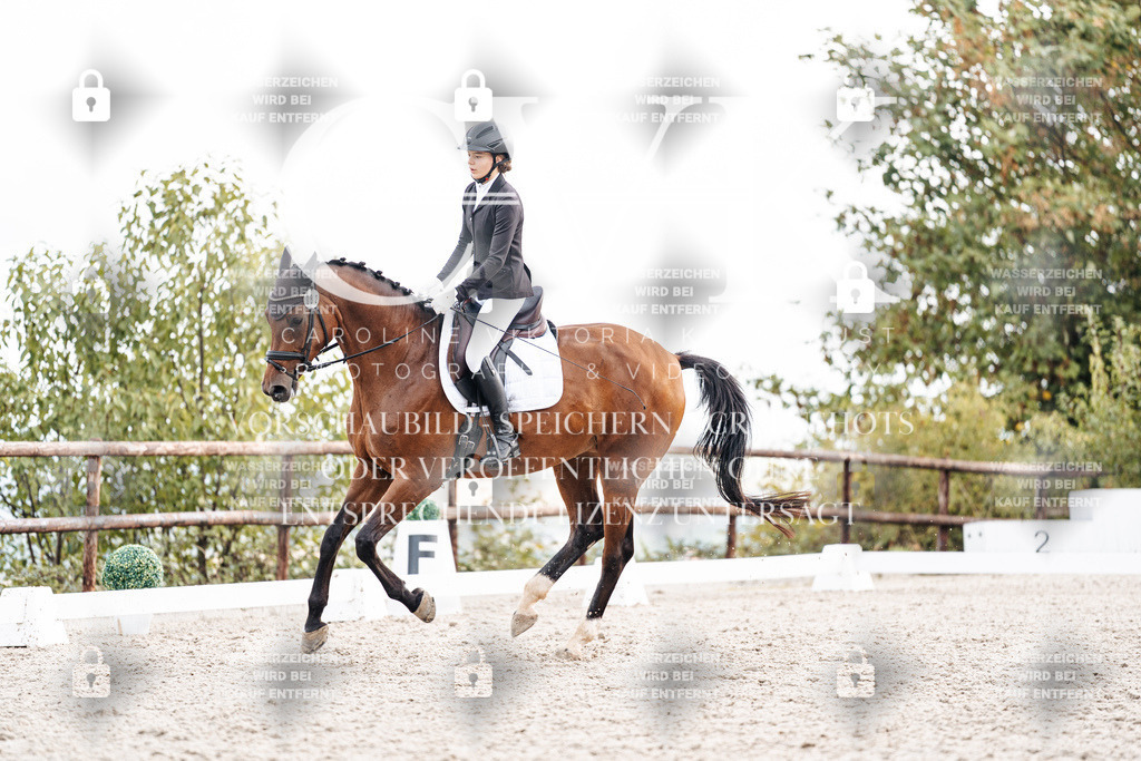 CK900972 | Turnierfotografie Pferdefotografie Trier Rheinland-Pfalz Pferdesport Reitsport Tierfotografie Sportfotografie Pferdevideo Pferdevideografie Equestrianvideography equestrianphotography  - Realisiert mit Pictrs.com