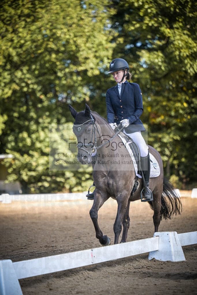 DOS_3083 | Entdecke hochwertige Reitturnierfotos von Foto Oger. Professionell, emotional und authentisch – jetzt Lieblingsmomente im Shop bestellen.Deutschlandweite Turnierfotografie. - Realisiert mit Pictrs.com