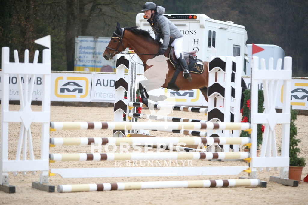 AS8V1141 | Willkommen bei Brunnmayr - Design & Fotografie – Ihrem Spezialisten für Reitturniere und Pferdeveranstaltungen in Oberösterreich, Salzburg und Bayern! Seit über 17 Jahren sind wir leidenschaftlich dabei.