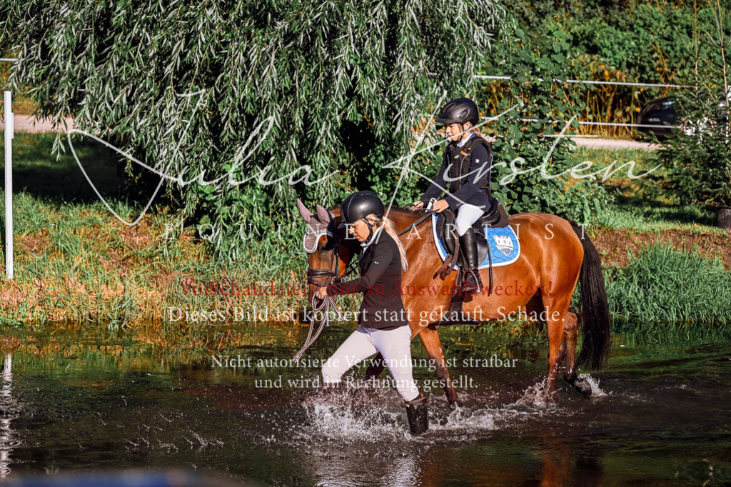 DSC_0228 | Pferde- und Turnierfotografie in Westsachsen. Pferdeportraits, Auftragszeichnungen und intuitive Kunst.