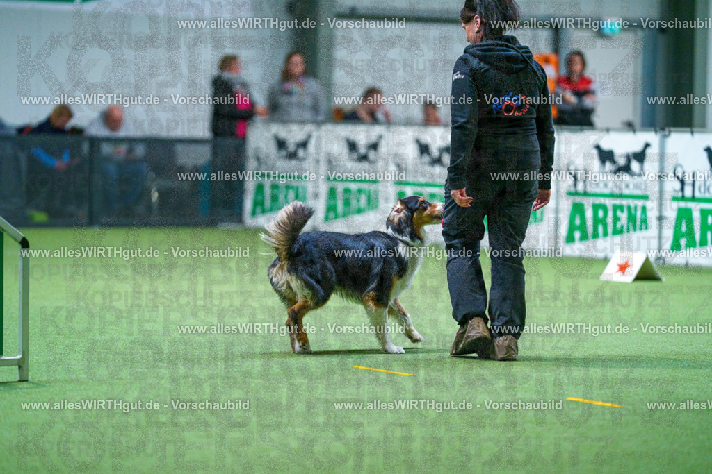 7R501961 | Professionelle Tierfotografie in Mönchengladbach von Daniel Wirth (allesWIRTHgut). Liebevolle & natürliche Bilder von Hunden & Katzen für unvergessliche Erinnerungen.