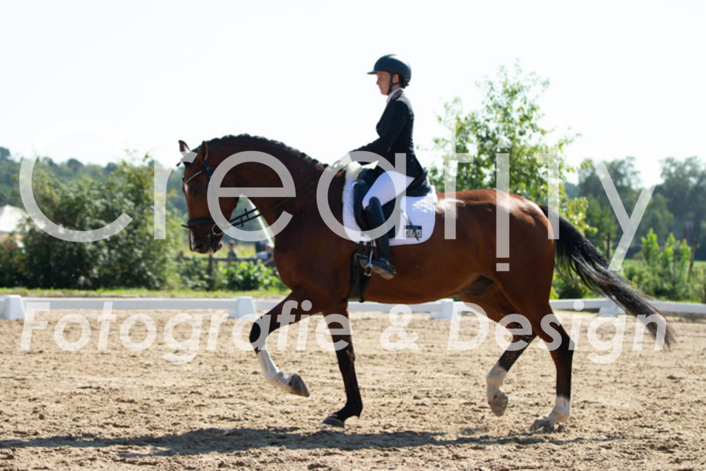 IMG_3595 | Creatify Fotografie