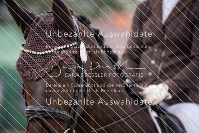 SD_OED_05963 | saradresslerfotografie - Realisiert mit Pictrs.com