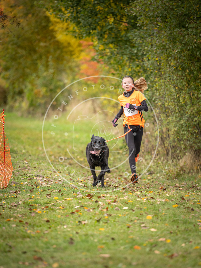 Pfotenfotografie_DV3A3429 | Hundefotografie, Tierfotograf, Pfotenfotografie, Fotoshooting Hund, Hunde Portrait, Hundesport, Hundeportraits, Heideshooting, Hunde, Sportfotograf, Hundefotograf, Turnierhundsport, THS,  - Realisiert mit Pictrs.com