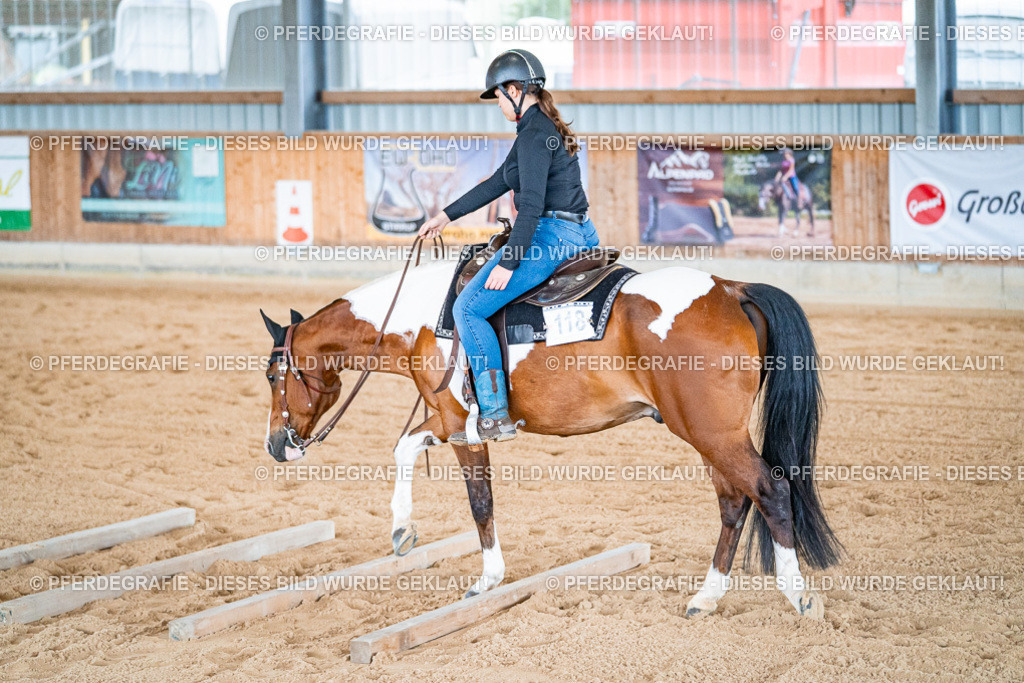 DSC09775 | Pferdegrafie