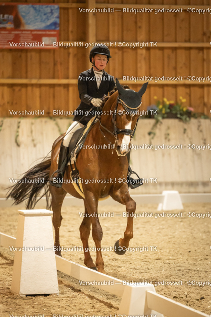 _D5A4263 | Emotionale Pferde- & People-Fotografie rund um Heidelberg, Leimen & Umgebung. Natürliche Fotos von Pferd, Mensch & Familie. Jetzt Termin sichern!