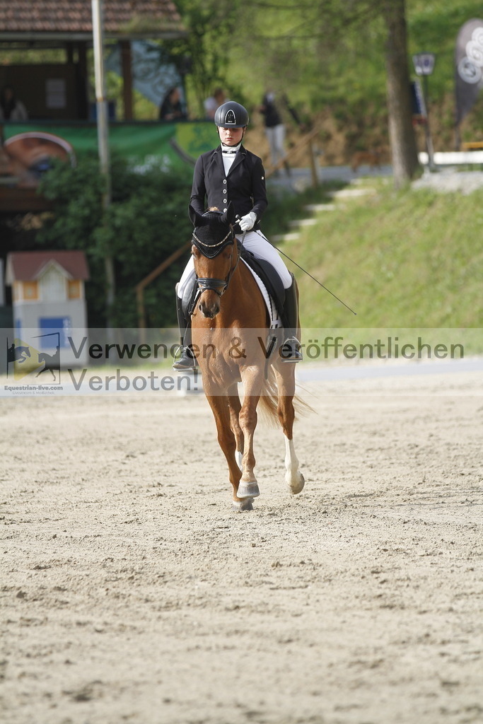 _MG_5883 | equestrian-live-com