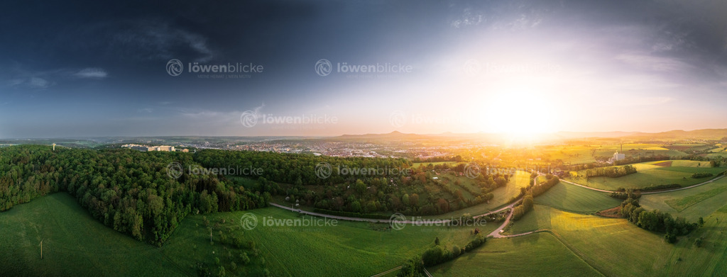 Eichert-Wald im ersten Licht des Tages | löwenblicke | shop