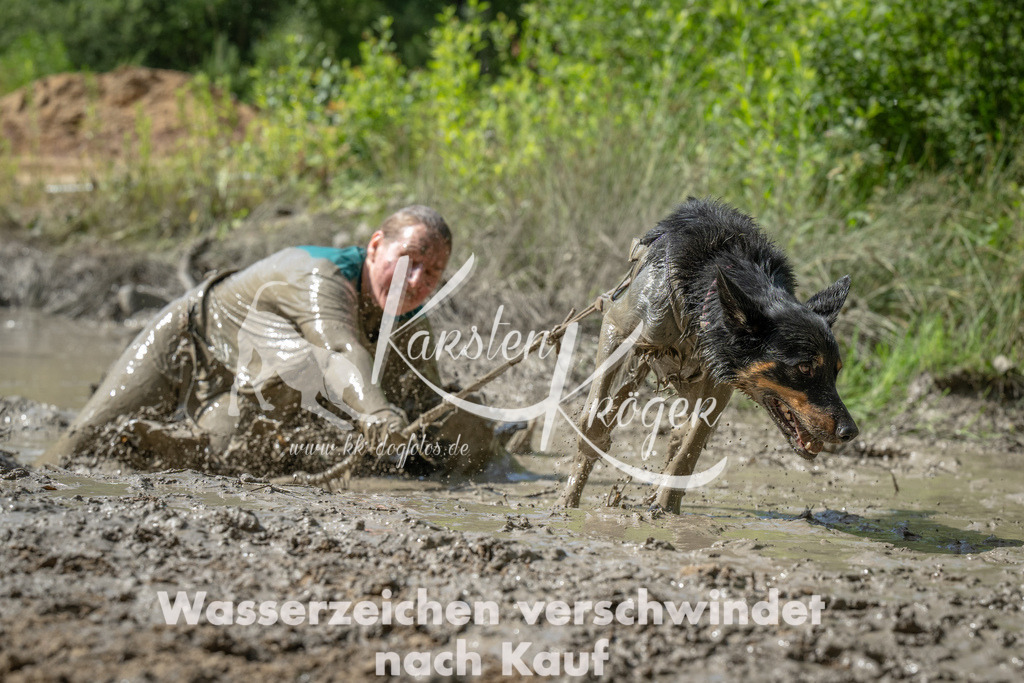 1039_ZZ93519 | kk-dogfotos
