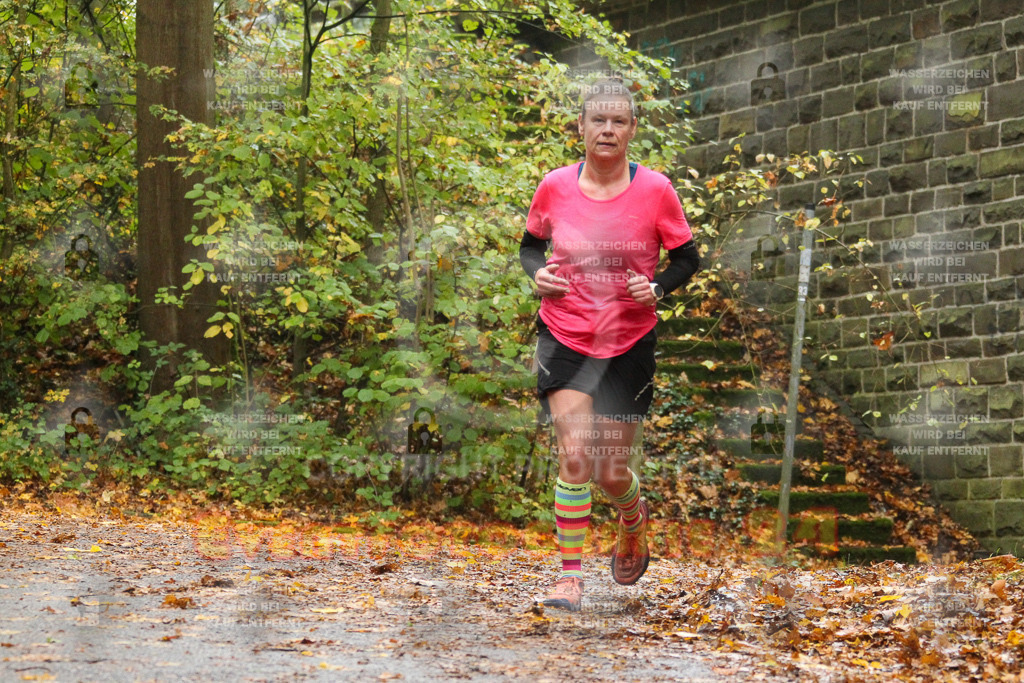 241027_1238_EV4_7361 | Sportfotografie im Rhein-Sieg Kreis, Köln, Bonn, NRW, Rheinland Pfalz, Hessen, etc. Unser Tätigkeitsfeld umfasst den Laufsport vom Volkslauf über den Marathon, Duathlon, Triathon bis zum Ultralauf wie Kölnpfad Ultra oder Schindertrail.