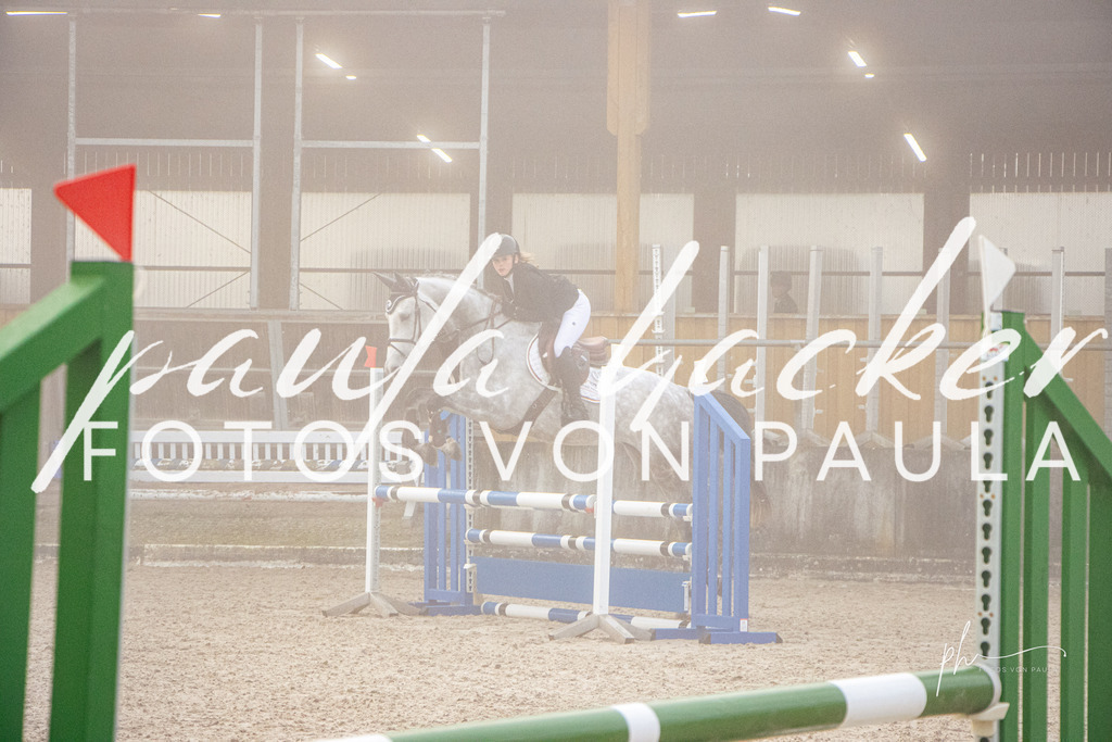 IMG_2399 | Erleben Sie dynamische Sport- und emotionale Tierfotografie in Süddeutschland mit Fotos von Paula. Spezialisiert auf Pferde- und Hundefotografie sowie Sportevents. Kontaktieren Sie mich für einzigartige und ausdrucksstarke Bilder Ihrer besonderen Momente. - Realisiert mit Pictrs.com