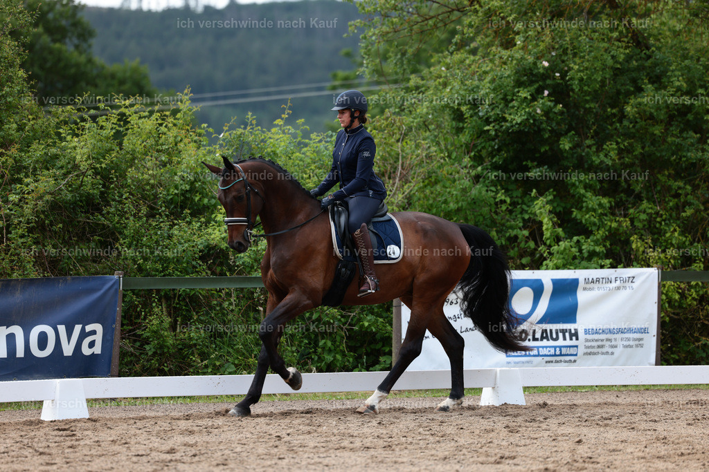KlasseL_Stoibphotography_CAM21447.JPG | working equitationturnier fotograf videograf stoibphotography marixx film working equitation deutschland reitsport turnierfotografie eventfotografie equestrian events