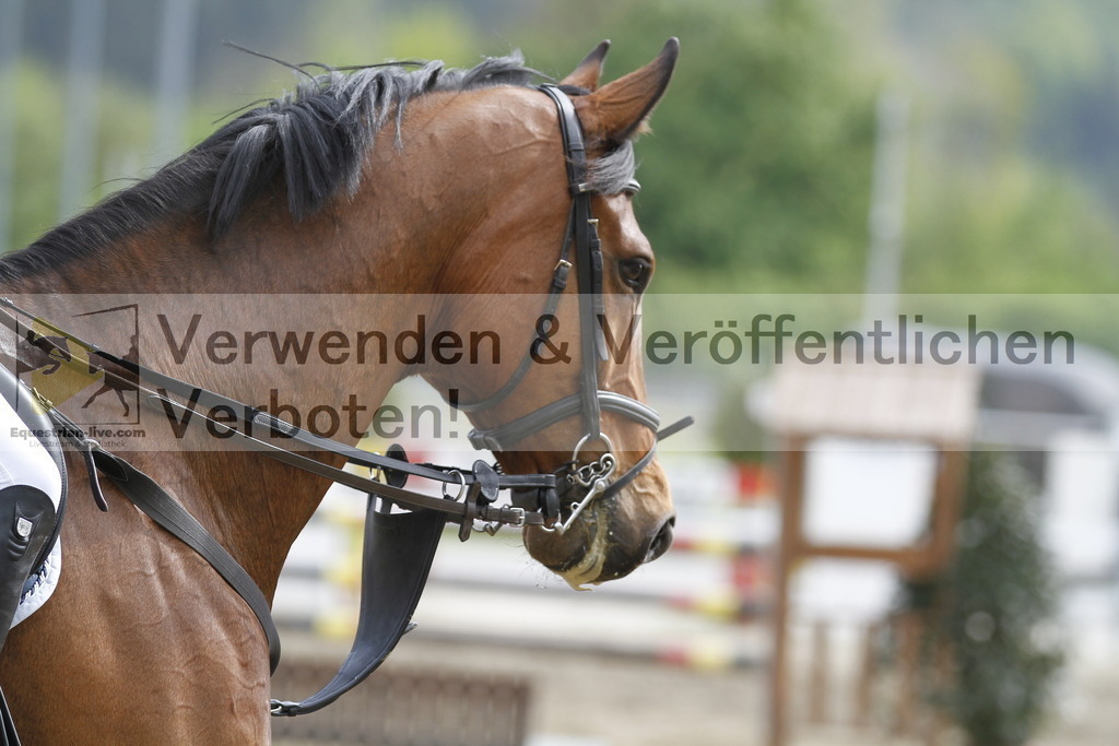 _MG_2999 | equestrian-live-com
