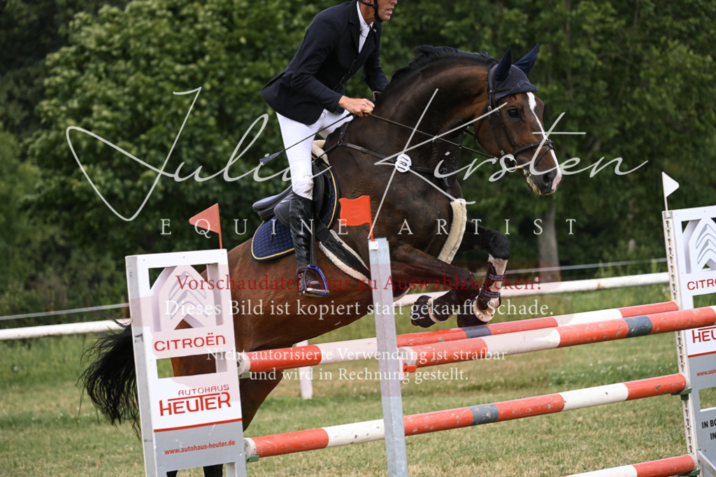 DSC_0847 | Pferde- und Turnierfotografie in Westsachsen. Pferdeportraits, Auftragszeichnungen und intuitive Kunst.