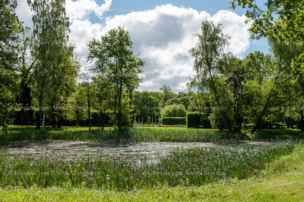 10049-1616 - Stadtpark Tangerhütte | Stockfoto und Bilderpool mit Bildmaterial aus Deutschland, dem Harz, Halberstadt, Quedlinburg, Wernigerode und weltweit. Qualitativ hochwertige und professionelle Fotos anschauen und kaufen. - Realisiert mit Pictrs.com