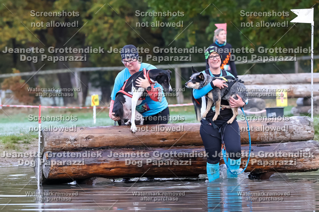 Dog Paparazzi - Strongdog 10-25-6253 | Dog Paparazzi Jeanette Grottendiek Fotografie & Videografie - Realisiert mit Pictrs.com