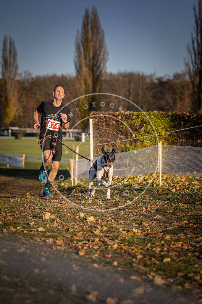 CaniXpix_DV3A4209 | Hundefotografie, Tierfotograf, Pfotenfotografie, Fotoshooting Hund, Hunde Portrait, Hundesport, Hundeportraits, Heideshooting, Hunde, Sportfotograf, Hundefotograf, Turnierhundsport, THS,  - Realisiert mit Pictrs.com