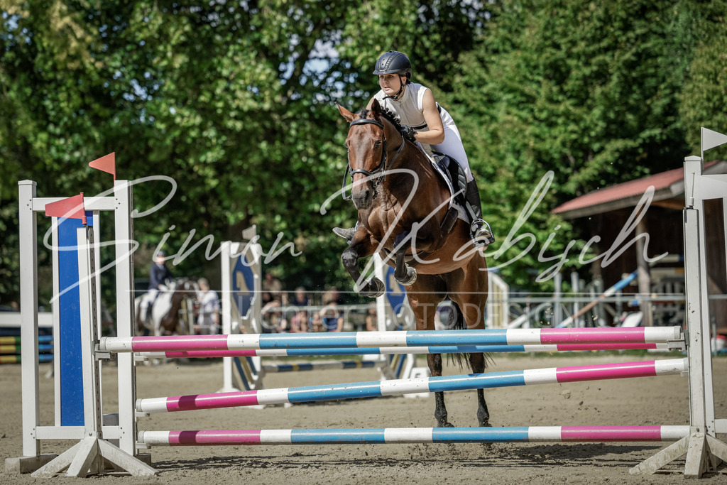 20250906-_3LI6014 | Tierfotografie Pferde, Hunde, Katzen, Haustiere.
Turnierfotografie Reitturniere, Reiten, Springreiten, Dressur in Hanau, dem Main-Kinzig-Kreis und dem Rhein-Main- Gebiet um Frankfurt