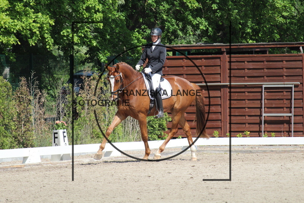 IMG_3446 | franziskalange - Realisiert mit Pictrs.com