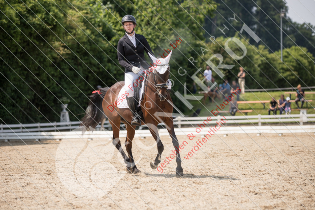 IMG_3616 | Sport-, Event- und Tierfotos in Profiqualität. Einfach auswählen, bestellen und herunterladen. Dein Moment – perfekt festgehalten.