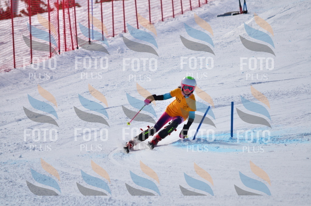 C9516 | holidayphoto