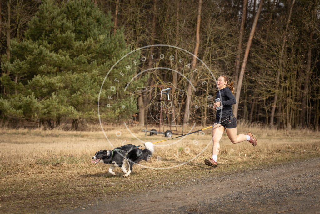 DV3A3897 | Hundefotografie, Tierfotograf, Pfotenfotografie, Fotoshooting Hund, Hunde Portrait, Hundesport, Hundeportraits, Heideshooting, Hunde, Sportfotograf, Hundefotograf, Turnierhundsport, THS,  - Realisiert mit Pictrs.com
