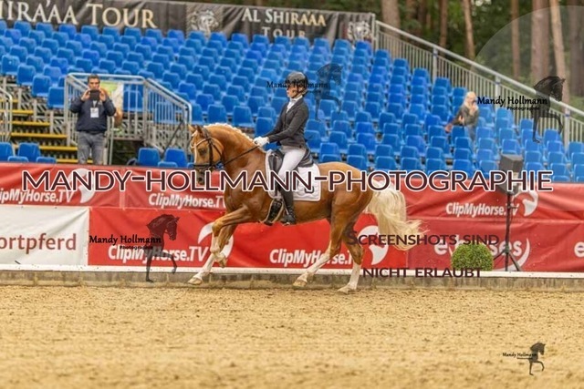 28-8-26 5j DRE-1462 | mandyhollmannphotographie