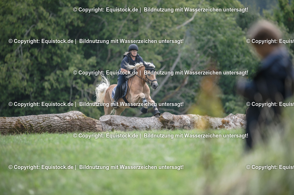 20250726_Vielseitigkeitslehrgang-Marbach_0610 | Foto: Thomas Hartig