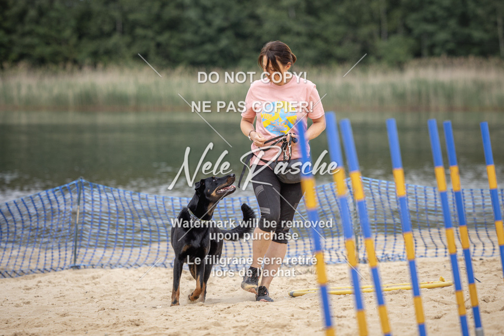 nelerasche_BuHu2026_So09-10_339 | nelerasche