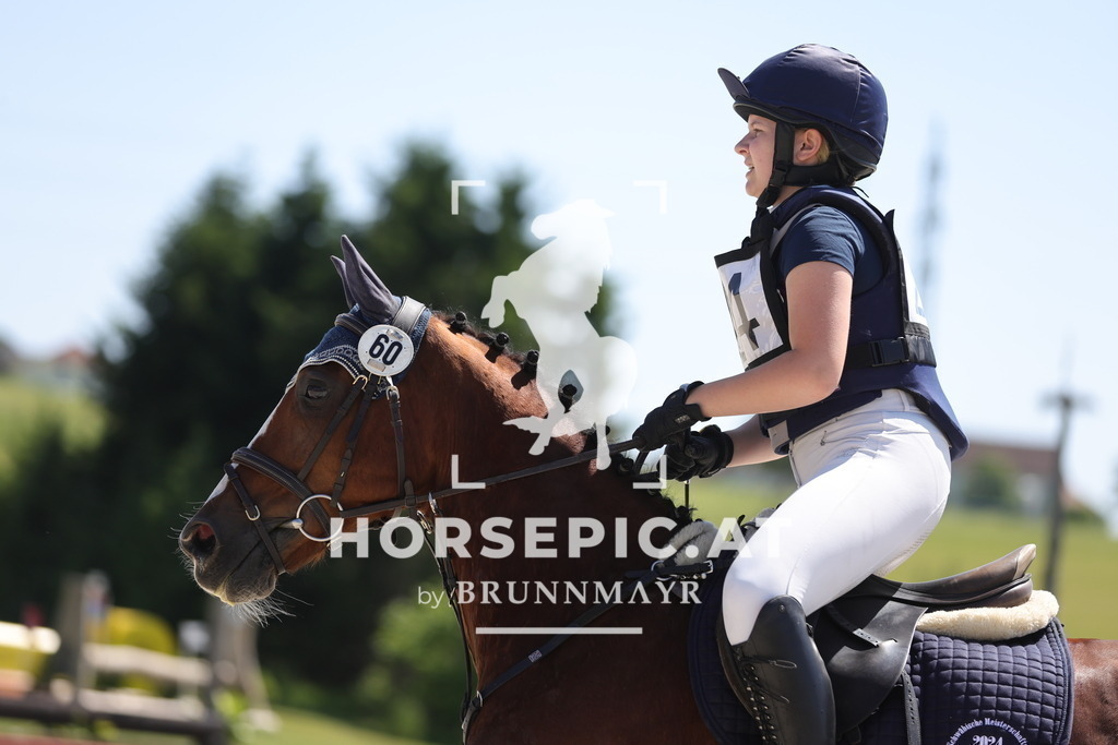 0P6A3507 | Willkommen bei Brunnmayr - Design & Fotografie – Ihrem Spezialisten für Reitturniere und Pferdeveranstaltungen in Oberösterreich, Salzburg und Bayern! Seit über 17 Jahren sind wir leidenschaftlich dabei.