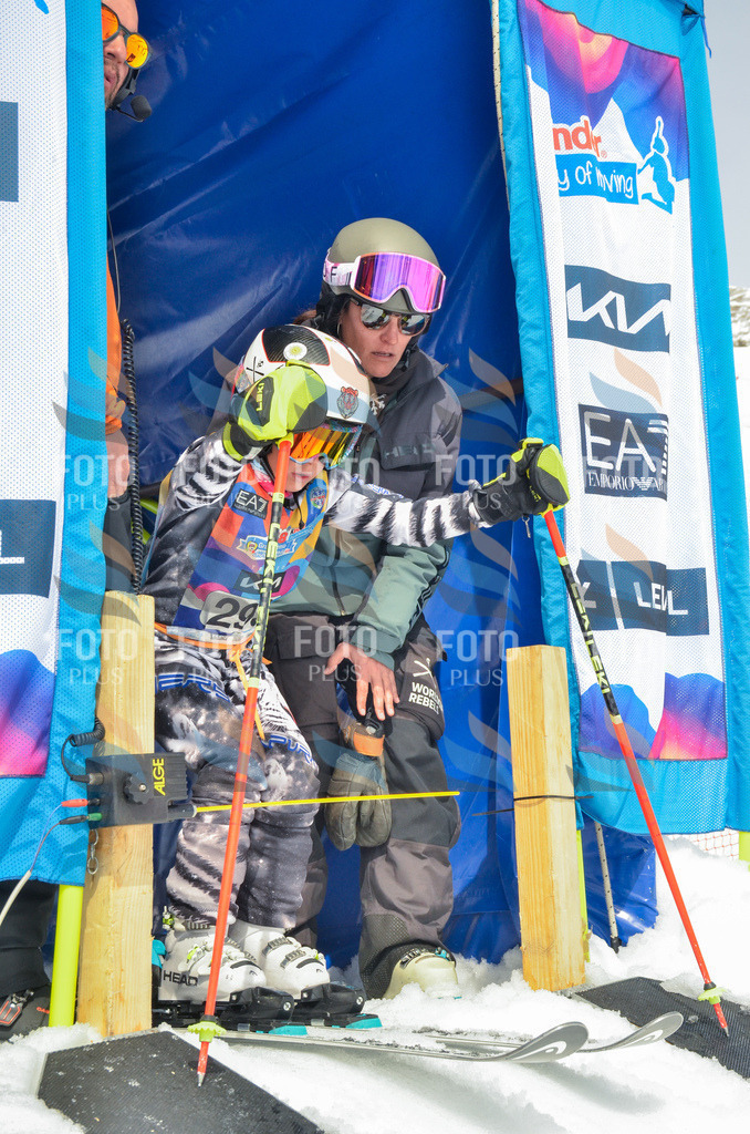 _ELE8132 | holidayphoto