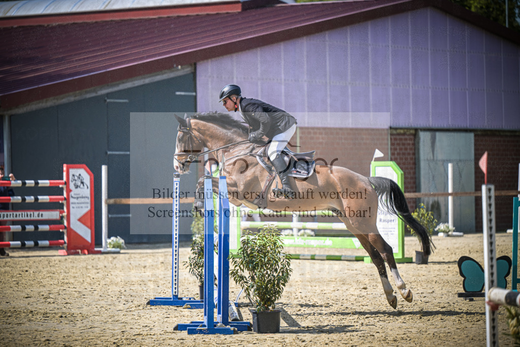 DOS_7567 | Entdecke hochwertige Reitturnierfotos von Foto Oger. Professionell, emotional und authentisch – jetzt Lieblingsmomente im Shop bestellen.Deutschlandweite Turnierfotografie. - Realisiert mit Pictrs.com