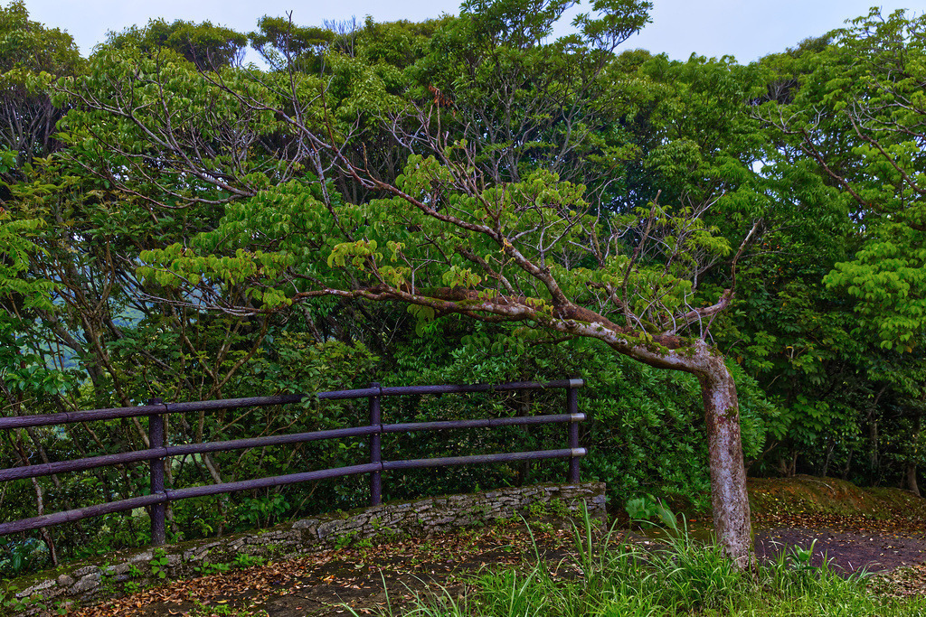 1H5A9372 | ansichtssache