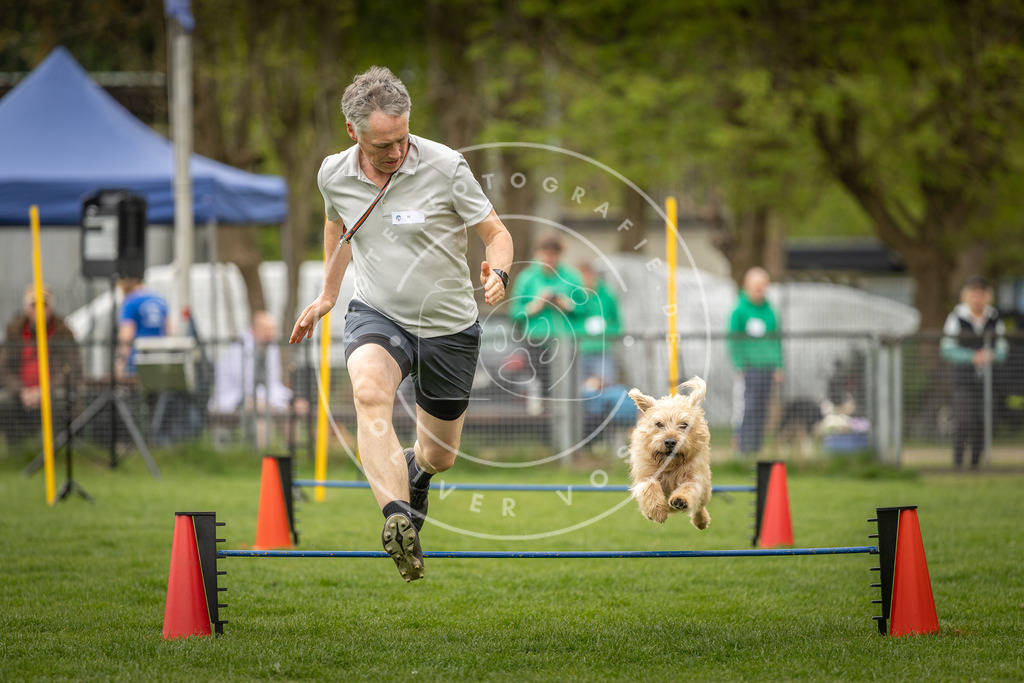 Pfotenfotografie_DV3A2640 | Hundefotografie, Tierfotograf, Pfotenfotografie, Fotoshooting Hund, Hunde Portrait, Hundesport, Hundeportraits, Heideshooting, Hunde, Sportfotograf, Hundefotograf, Turnierhundsport, THS,  - Realisiert mit Pictrs.com