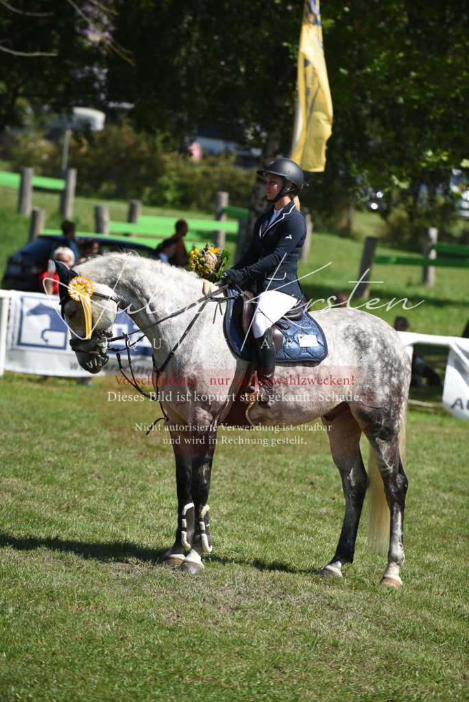DSC_9638 | Pferde- und Turnierfotografie in Westsachsen. Pferdeportraits, Auftragszeichnungen und intuitive Kunst.