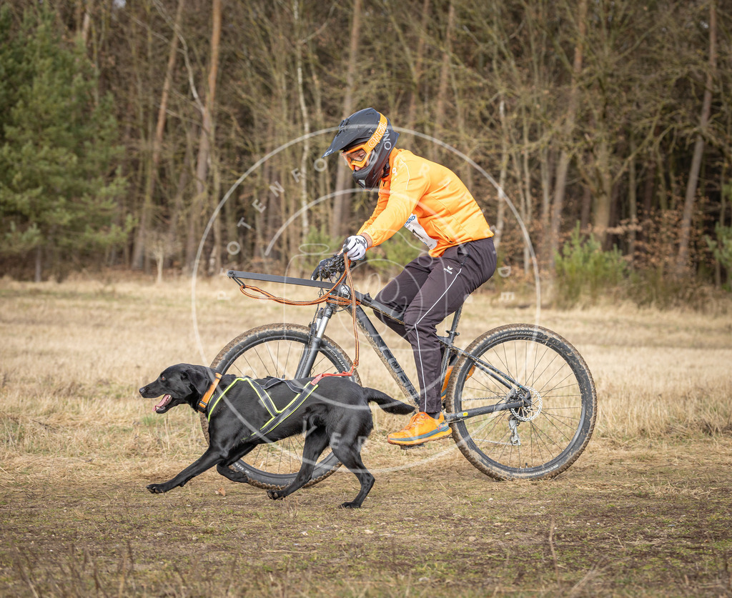 DV3A4889 | Hundefotografie, Tierfotograf, Pfotenfotografie, Fotoshooting Hund, Hunde Portrait, Hundesport, Hundeportraits, Heideshooting, Hunde, Sportfotograf, Hundefotograf, Turnierhundsport, THS,  - Realisiert mit Pictrs.com